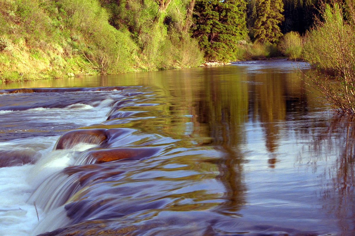 Wildland Hydrology Consultants