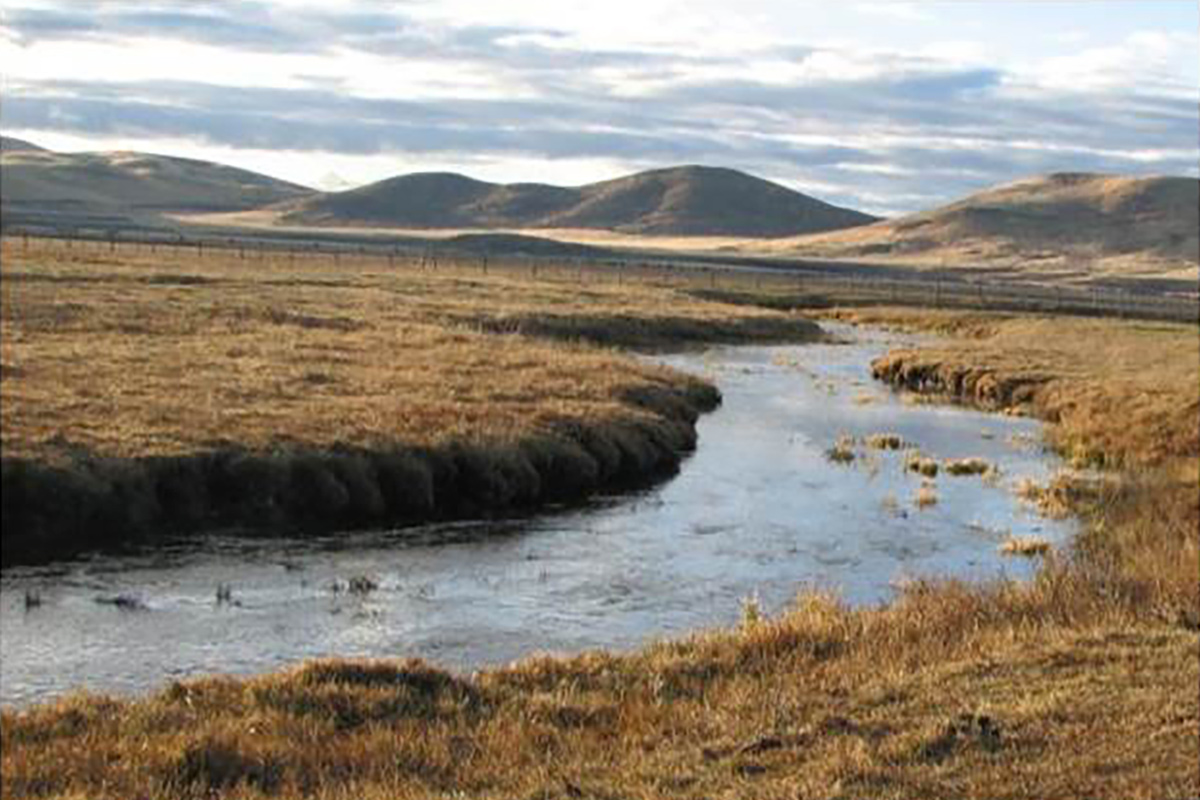 Crystal Creek before restoration showing overwide, entrenched channel