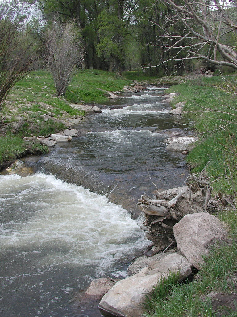 Roaring Fork of Little Snake River post-restoration showing constructed B4 stream type with log and rock step-pool structures