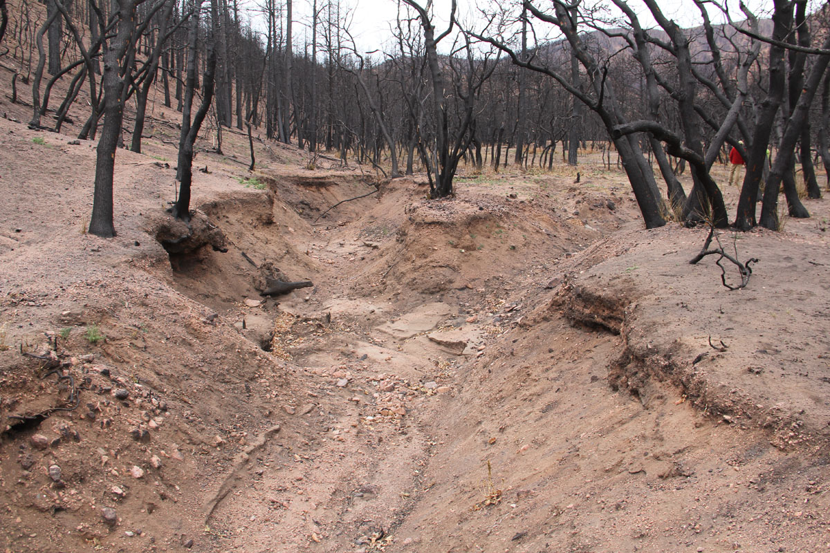 North Douglas Creek prior to restoration showing active alluvial fan with gully.