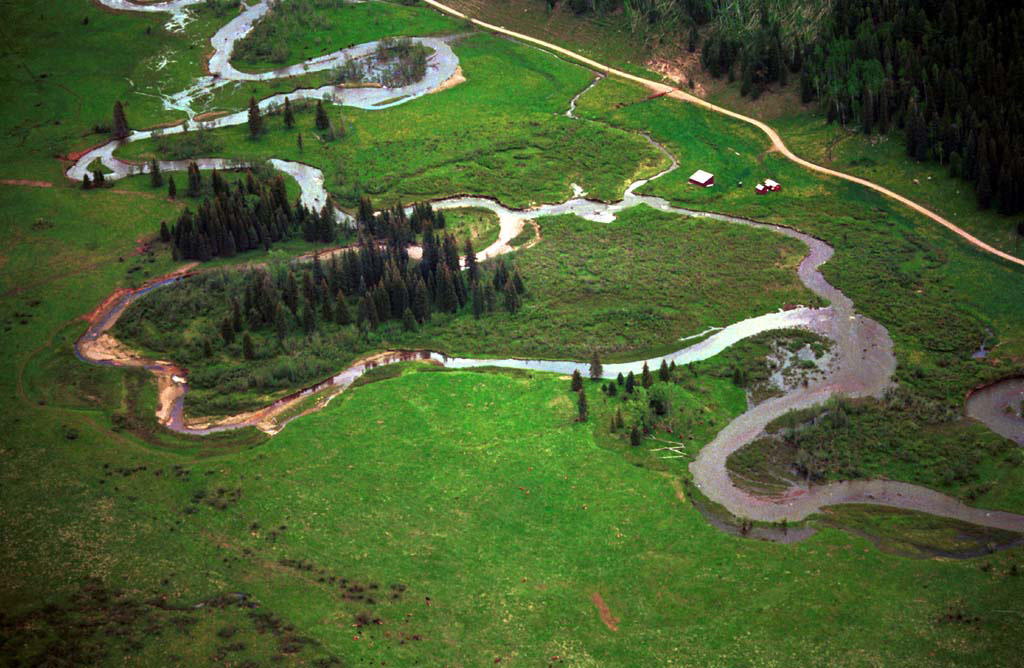 Weminuche Creek prior to restoration showing channel avulsion and gully that cutoff 2,100 ft of channel